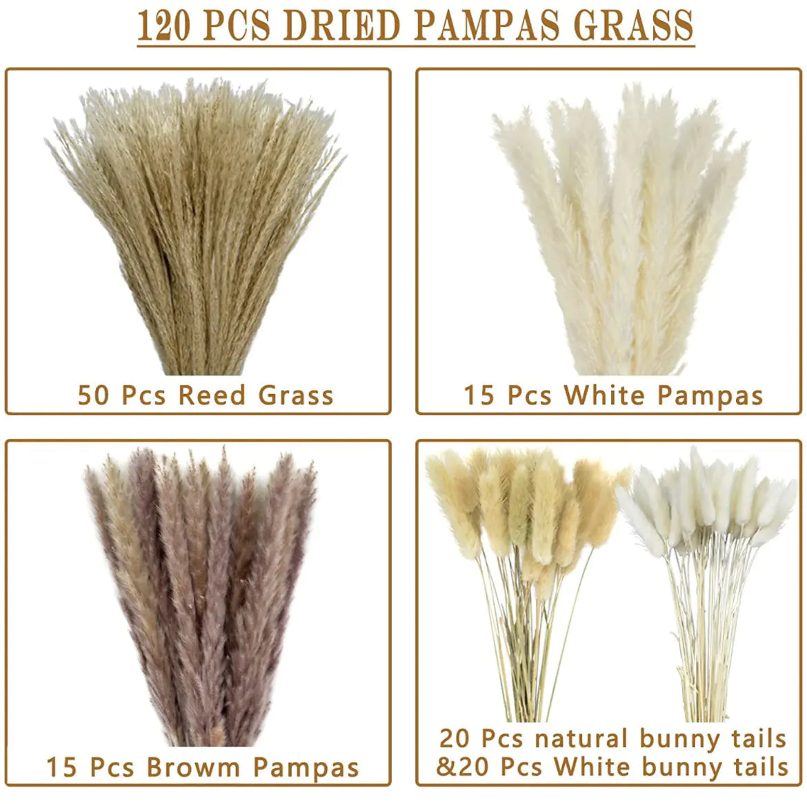 Amazon Wholesale Dried Flower Bouquet - Bunny Tail Grass