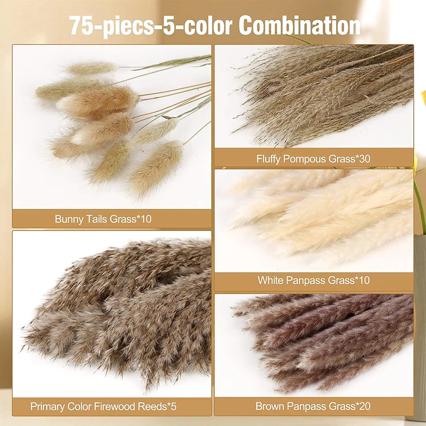 Amazon Wholesale Dried Flower Bouquet - Bunny Tail Grass