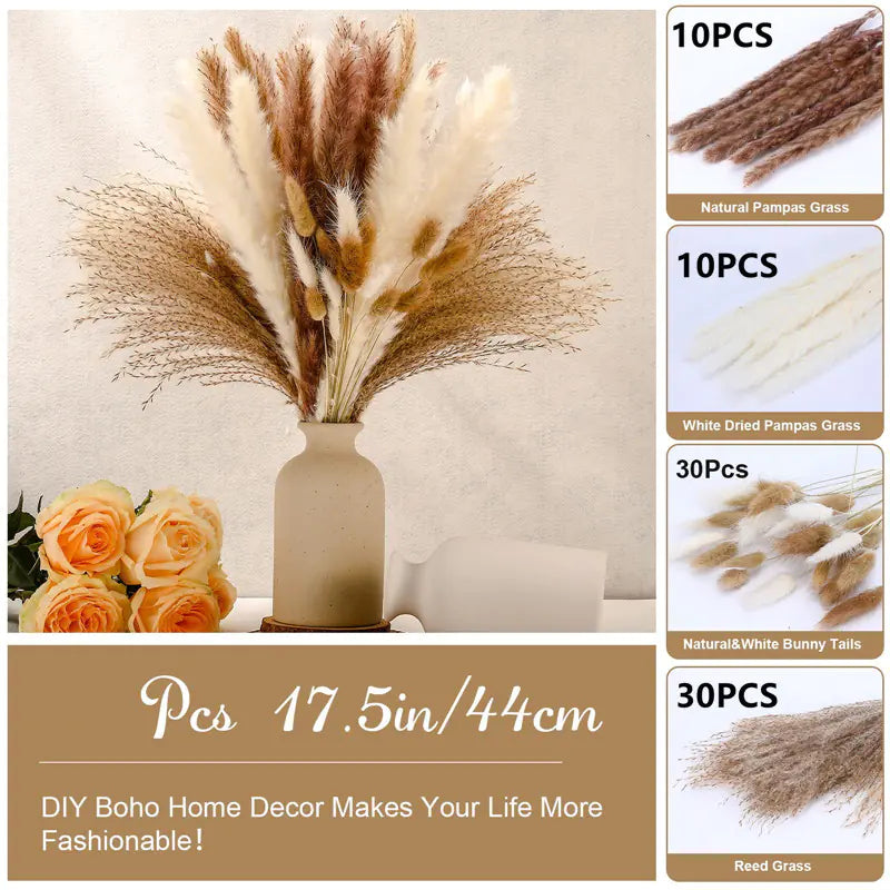 Amazon Wholesale Dried Flower Bouquet - Bunny Tail Grass