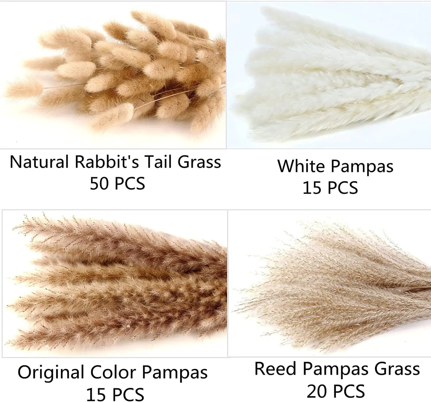 Amazon Wholesale Dried Flower Bouquet - Bunny Tail Grass