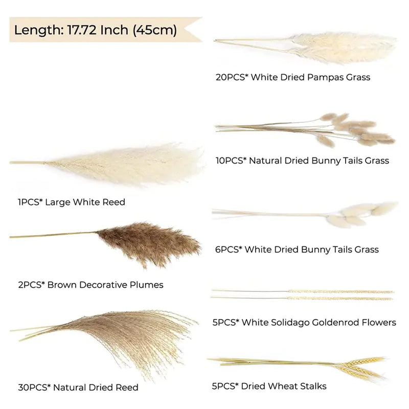 Amazon Wholesale Dried Flower Bouquet - Bunny Tail Grass
