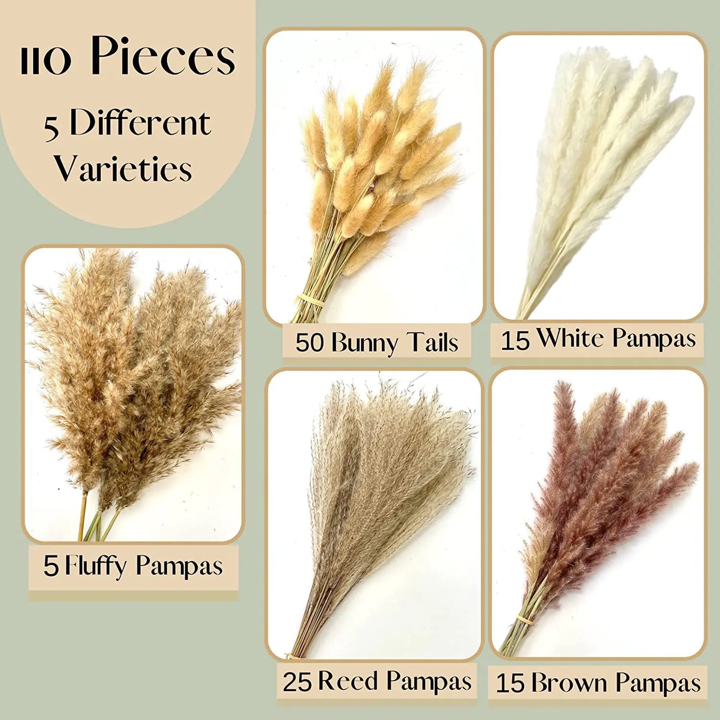 Amazon Wholesale Dried Flower Bouquet - Bunny Tail Grass