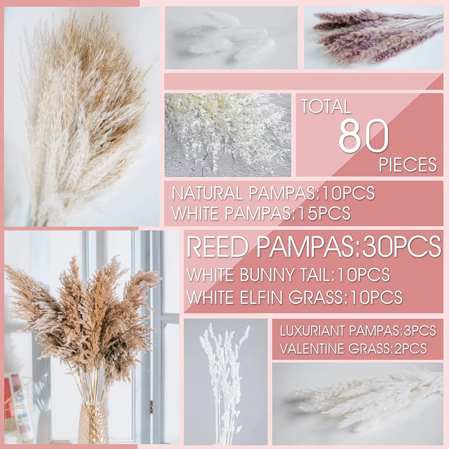 Amazon Wholesale Dried Flower Bouquet - Bunny Tail Grass